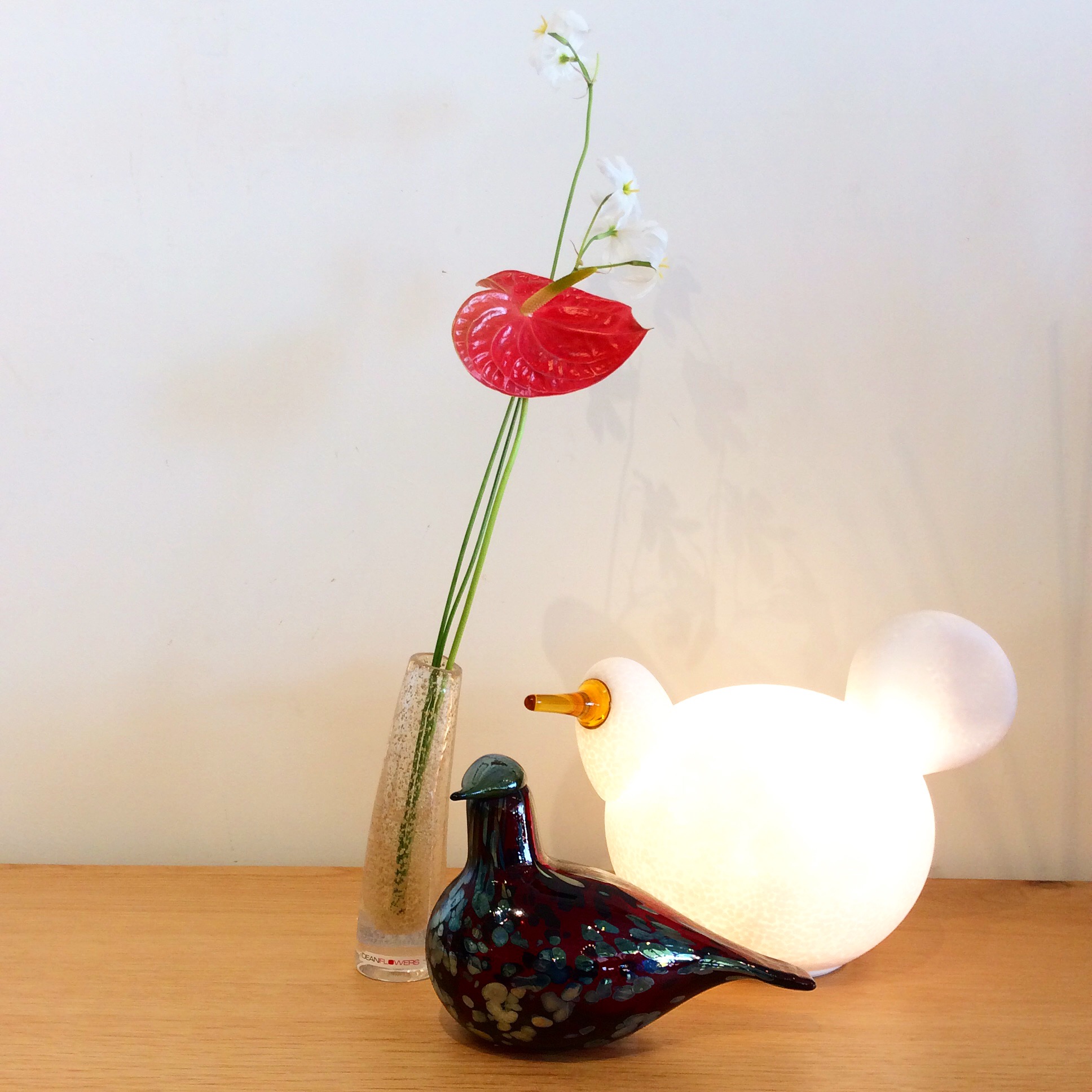 MAGIS × iittala × Oiva Toikka | 照明 | PLANTS 郡山市のインテリア